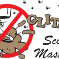 Scoop Masters - Pet Waste Removal Services - Dallas, TX
