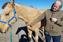 Request Quote: Open New Doors for Animals - Pet Reiki Healing - Nationwide