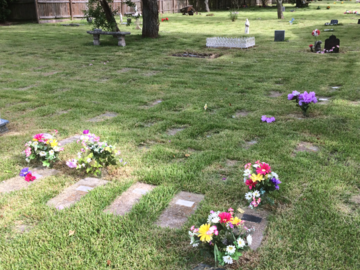 Flowers at Hale's Half Pet Cemetery
