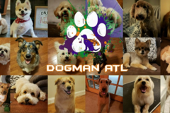 Request Quote: Dogman ATL - Dog Mobile Grooming Services - Atlanta, GA