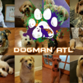 Dogman ATL - Dog Mobile Grooming Services - Atlanta, GA