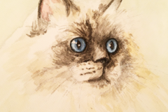 Request Quote: 8x10 Watercolor Custom Portrait - Pet Portrait Artistry - Nationwide