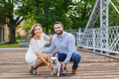 Request Quote: Pet Photography by David Eric Photography - Rochelle Park, NJ