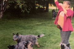 Request Quote: Rainbow In Home Pet Sitting Services - Darien, IL