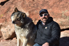 Request Quote: Rocky Mountain Animal Chiropractic Care  - Colorado Springs, CO