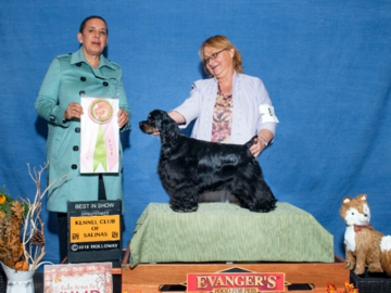Star new Champion and Best in Show