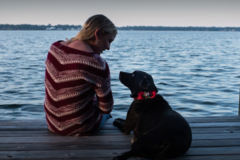 Request Quote: Ono Pet Photography - Fairhope, AL