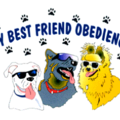 My Best Friend Dog Obedience Private Training - Port Hueneme, CA