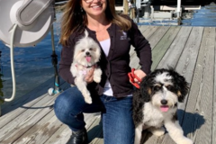 Request Quote: Bark Busters Home Dog Training  - St. Petersburg, FL