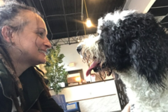 Request Quote: Taking the Lead Dog Training - Audubon, PA