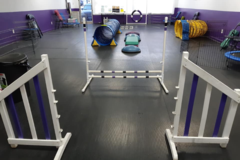 Request Quote: Team Fido Dog Training - Peterborough, ONKJX