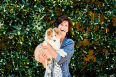 Request Quote: Positive Life Dog Training - Naples, FL