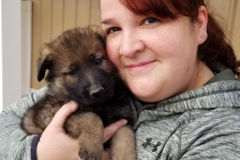 Request Quote: Grace With Dogs - Private Dog Training - Orlando, FL