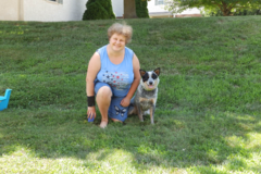 Request Quote: Alla Osypenko - Dog Trainer - West Chester, PA