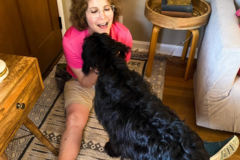Request Quote: So Much PETential by Lisa Desatnik - Certified Dog Trainer - Cincinnati, OH