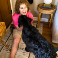 So Much PETential by Lisa Desatnik - Certified Dog Trainer - Cincinnati, OH