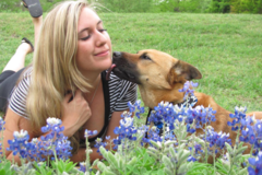 Request Quote: Candid Canines Dog Training - Burnet, TX