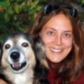 Alpine Dogs - Certified Dog Trainer - Whistler, BCVE