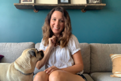 Request Quote: Private In Home Dog Training Session - New York, NY