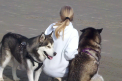 Request Quote: Linda LeFauve Animal Behavioral Consultant - Denver, NC