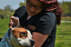 Request Quote: Focus Dog Training - Private Canine Trainers - Copley, OH
