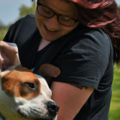 Focus Dog Training - Private Canine Trainers - Copley, OH