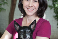 Request Quote: High Ten - In Home Private Dog Training - Stamford, CT