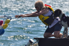 Request Quote: P.R.DOGz Private Dog Training - Regina, SK