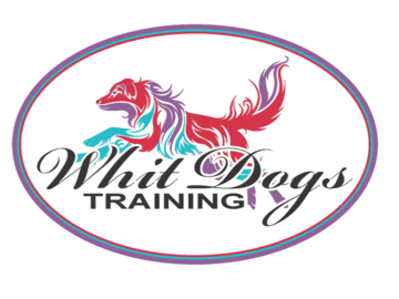 My logo