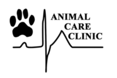 Request Quote:  Stephanie Ruggerone - Certified Private Dog Trainer - San Luis Obispo, CA