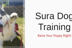 Request Quote: Sura Dog Training - Remote or In Person Dog Trainer - Seabeck, WA
