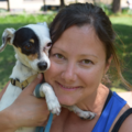 Urban Animal Kingdom - Dog Walking and Pet Sitting - St Paul, MN