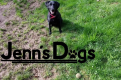 Request Quote: Jenn's Dogs - In Home Private Dog Training - Forest Grove, OR