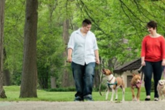 Request Quote: Sits n Wiggles - Private In Home Dog Training - Cleveland Heights, OH