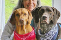 Request Quote: My Canine Companion - Certified Private Dog Trainer - Cadyville, NY
