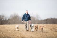 Request Quote: Backcountry K-9 Training LLC - Mt Kisco, NY