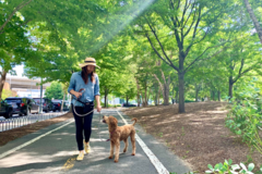 Request Quote: True Fit Dog Training - Arlington, MA