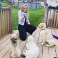St. Louis Obedience Training - Private Dog and Puppy Trainer - St. Louis, MO