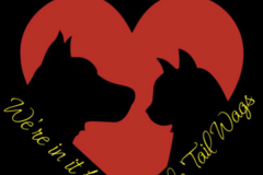 Request Quote: Tail Wags Training  - Bradenton, FL