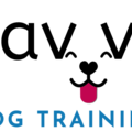 Savvy Dog Training - Certified Dog Trainer - St. Augustine, FL