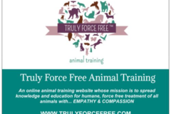 Request Quote: Truly Force Free Animal Training - Dog Trainer - Ventura, CA