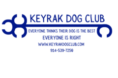 Request Quote: Keyrak Dog Club - Private Dog Training Service - Staten Island, NY