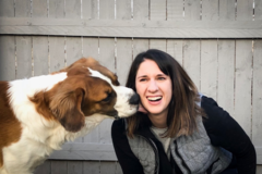 Request Quote: WOOFS! In Home Private Dog Training - Alexandria, VA
