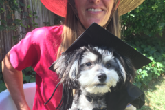 Request Quote: Andrea Bratt - Clicker Private Dog Training Specialist - Santa Barbara, CA