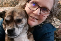 Request Quote: Such A Great Dog, LLC - In Home Private Dog Trainer - Monrovia, MD