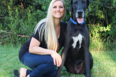 Request Quote: Cold Nose College West Coast - Certified Private Dog Trainer - Box Elder, SD