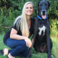 Cold Nose College West Coast - Certified Private Dog Trainer - Box Elder, SD