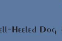 Request Quote: The Well-Heeled Dog - Certified Pro Dog Trainer - West Hollywood, CA