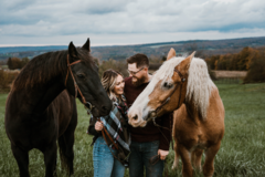 Request Quote: Tailor Mayde Pet Photography - Buffalo, NY