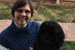 Request Quote: Be SMART - In Home Private Dog Training - Aurora, CO